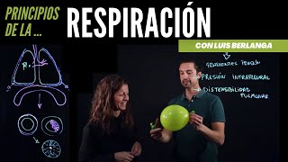 Ventilación pulmonar principios básicos de la respiración [upl. by Marcy]