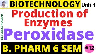 PeroxidaseProduction of EnzymesBiotechnologyUnit 1 B Pharmacy 6 SemLect12 [upl. by Iveel]