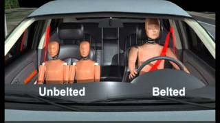 Orlando Car Accident  Occupant Without Seatbelt Ejection Animation [upl. by Ylaek]