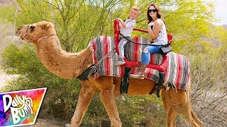 24 HOURS IN A DESERT  Kids First Camel Ride 🐫 🌵 [upl. by Noicpesnoc]