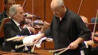 Ney Rosauro  Marimba Concerto No1 Mvmt2 Lamento performed by Roland Härdtner 2010 [upl. by Amikan]