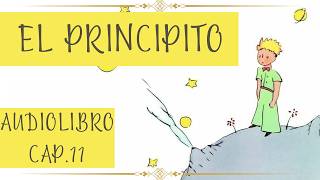 EL PRINCIPITO Cap 11 AUDIOLIBRO [upl. by Girand961]