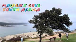 Maiden’s Cove Cape Town South Africa  maidenscove capetown southafrica [upl. by Nadabb]