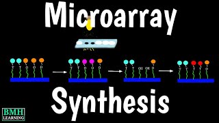 DNA Microarray Synthesis  DNA Microarray Fabrication [upl. by Clive]