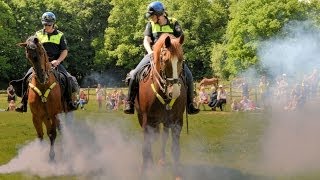 Politiepaarden  Demonstratie Paardenkamp Soest HD1080p [upl. by Anilek]