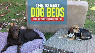 Top 10 Best Dog Bed Brands Review and Comparison [upl. by Ennaoj]