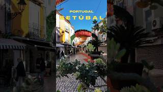 Setúbal Portugal 🇵🇹 Walking Tour of the Historic City South of Lisbon [upl. by Palma]