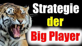 Strategie der Big Player [upl. by Artenra]