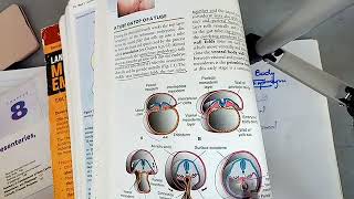 BODY CAVITIES and DIAPHRAGM development in easiest way part 1 [upl. by Tonina]