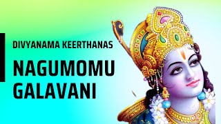 Nagumomu Galavani in Madhyamavathi With LYRICS Divyanama Keerthanas of Sri Tyagaraja [upl. by Haveman]