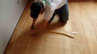 How to Trowel Fill a Wood Floor Effectivly [upl. by Irab]