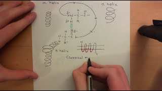 G Protein Coupled Receptors Part 2 [upl. by Aroon]