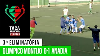 Taça de Portugal Placard Olimpico Montijo 0  1 Anadia FC [upl. by Anecusa981]