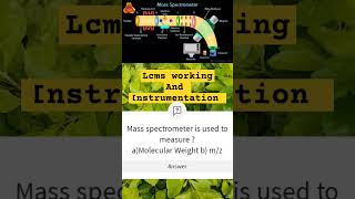 Mass Spectrometry I Principle and Instrumentation I analyticalChemistry lcms massspectrometry [upl. by Aihsik232]