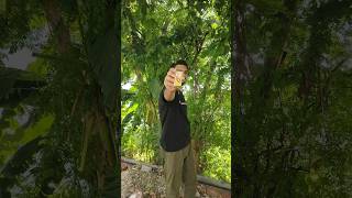 1 Rupees fertilizer for plants  पोधो को बनाएं हरा भरा केवल 1रूपये में 🌺🌿shorts viral gardening [upl. by Annaoy]