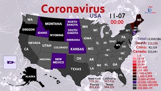 How the Coronavirus Infected 10 Million People in the US Map Timelapse [upl. by Tawney]