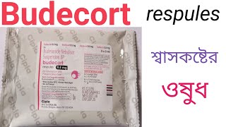 Budecort respules  Budesonide  Budecort respules Use  Dose  Side effects in Bengali [upl. by Chi]