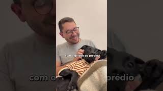 Procuro um namorado sem ser o Pedrinho pro dia dos namorados pets pet diadosnamorados meme [upl. by Rothberg779]