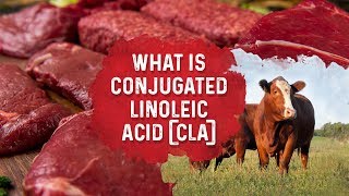 What Is Conjugated Linoleic Acid – Dr Berg [upl. by Heron]