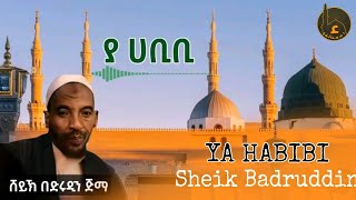 YA HABIBI MANZUMA AFAN OROMOO SHEIK BADRUDDIN IISA [upl. by Anneehs103]