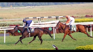 REGINA MEMORABILIS wins The Shamu Chavan Trophy [upl. by Slemmer]