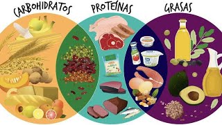 Biomoléculas carbohidratos lípidos proteínas y ácidos nucleicos [upl. by Jillayne286]