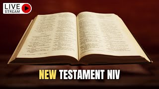 The Holy Bible  Complete NEW TESTAMENT Audio Bible NIV Dramatized [upl. by Dayle]