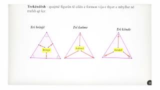 6 02 089  Java 23  Matematikë  Trekëndëshi sipërfaqja trekëndëshe dhe llojet [upl. by Lonny]