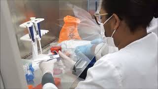 Biotechnology Final Semester Internship [upl. by Yliah]