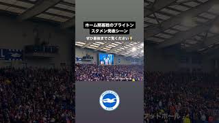 Amex Stadiumで流れたブライトンのスタメン発表シーンを公開‼️ ｜ brighton mitoma 三笘薫 ブライトン joaopedro サッカー seagulls [upl. by Lipps]