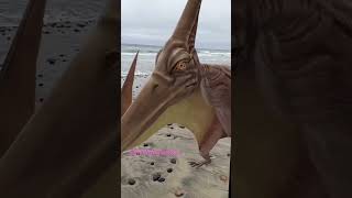 Pterodactyls take over the beach adobeaero dinosaur art augmentedreality [upl. by Yauqram191]