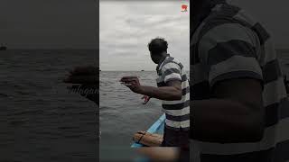 Catching Horse Mackerel Fish in the Sea fishing fishingvideo fishingtime [upl. by Aelram]