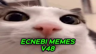 ECNEBI MEMES V48 [upl. by Madden12]