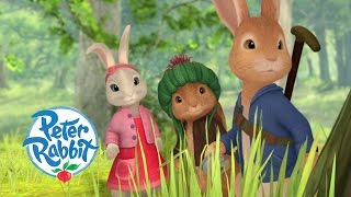 Peter Rabbit  The Two Ememies [upl. by Ewell]