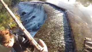 Swimming at ClavertonWarleigh Weir Near Bath [upl. by Standley]