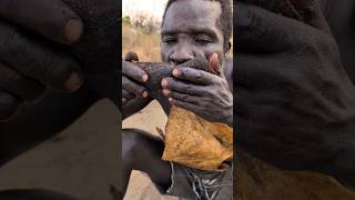 Breakfast time See how Hadza cooks their favorite meal today ‼️😋 So delicious [upl. by Pammi917]