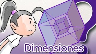 ¿Cuántas dimensiones hay [upl. by Licna]