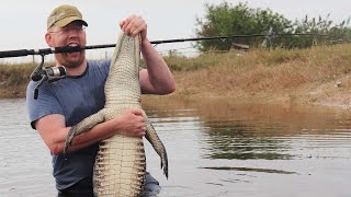 Fishing for Alligators Catch Clean Cook Alligator [upl. by Riehl]