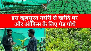 Nursery Visit  Plants Name And Plants Price  amidul official vlog [upl. by Ilwain190]