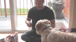 Best KONG Classic Dog Toy Review The PetMan Shows You How To Stuff It Properly [upl. by Amme]