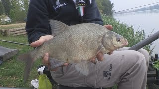 Trabucco TV  Match Spot  Laghi di Mantova  Ep 2  Pole Fishing [upl. by Yeltnerb]