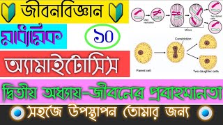 অ্যামাইটোসিসPart9 কোশ বিভাজন  Amitosis  Cell Division  জীবনের প্রবহমানতা  Madhyamik [upl. by Peursem]