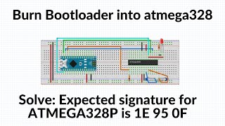 Atmega328 Arduino Bootloader  Expected signature for ATMEGA328P is 1E 95 0F [upl. by Acsicnarf]