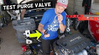 HOW TO TEST PURGE VALVE ON DODGE DART CODE P0443 P0444 GOOD OR BAD PURGE VALVE [upl. by Ifen]