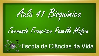 Bioquímica Aula 41  Considerações gerais do metabolismo da glicose [upl. by Frisse]