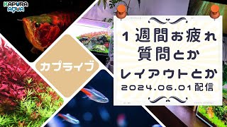 質問：雑談配信【週末アクアリウムライブ】【Aquarium Live Streaming 20240706 第56夜】 [upl. by Inobe]