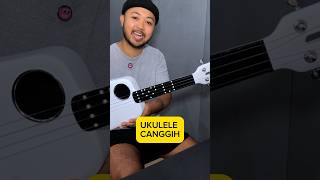 Ukulele Canggih Dari Xiaomi [upl. by Adrianne]