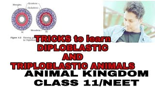 TRICKS to learn DIPLOBLASTIC and TRIPLOBLASTIC ANIMALSANIMAL KINGDOMCLASS 11NEET [upl. by Fennessy]