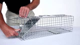 How to Set Havahart® Medium 1Door Trap Model 1078 for Skunks Rabbits amp Squirrels [upl. by Uria]