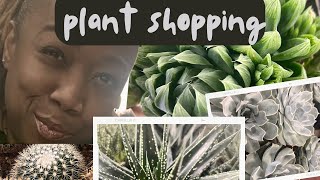 Plant Shopping Adventure Surprising Cacti and Succulent Finds [upl. by Infeld]